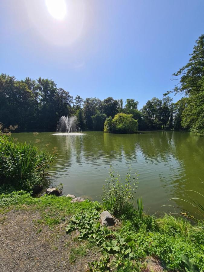 Fe Wo Nele Apartment Alsfeld Bagian luar foto